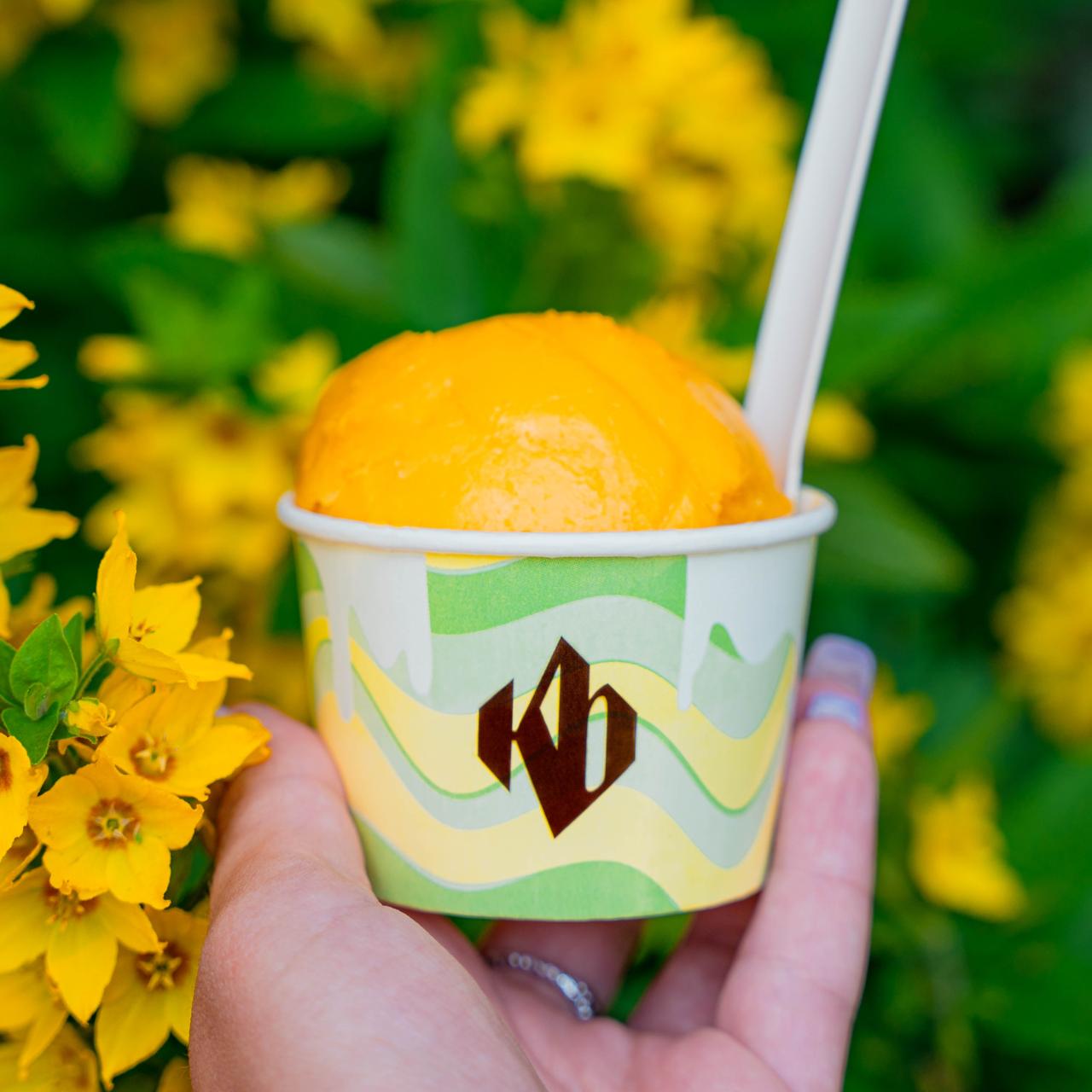 Pasjonsfrukt- & mangosorbé